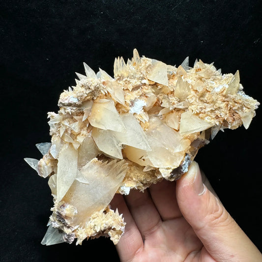 Calcite jaune pâle cristallisée sur matrice 327 g photo 1.