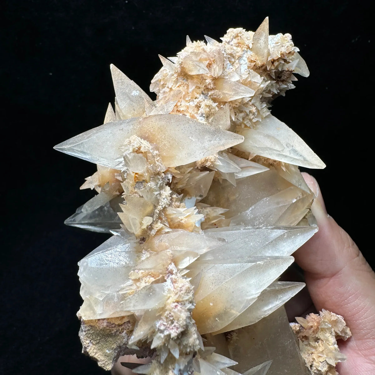Calcite jaune pâle cristallisée sur matrice 327 g photo 2.