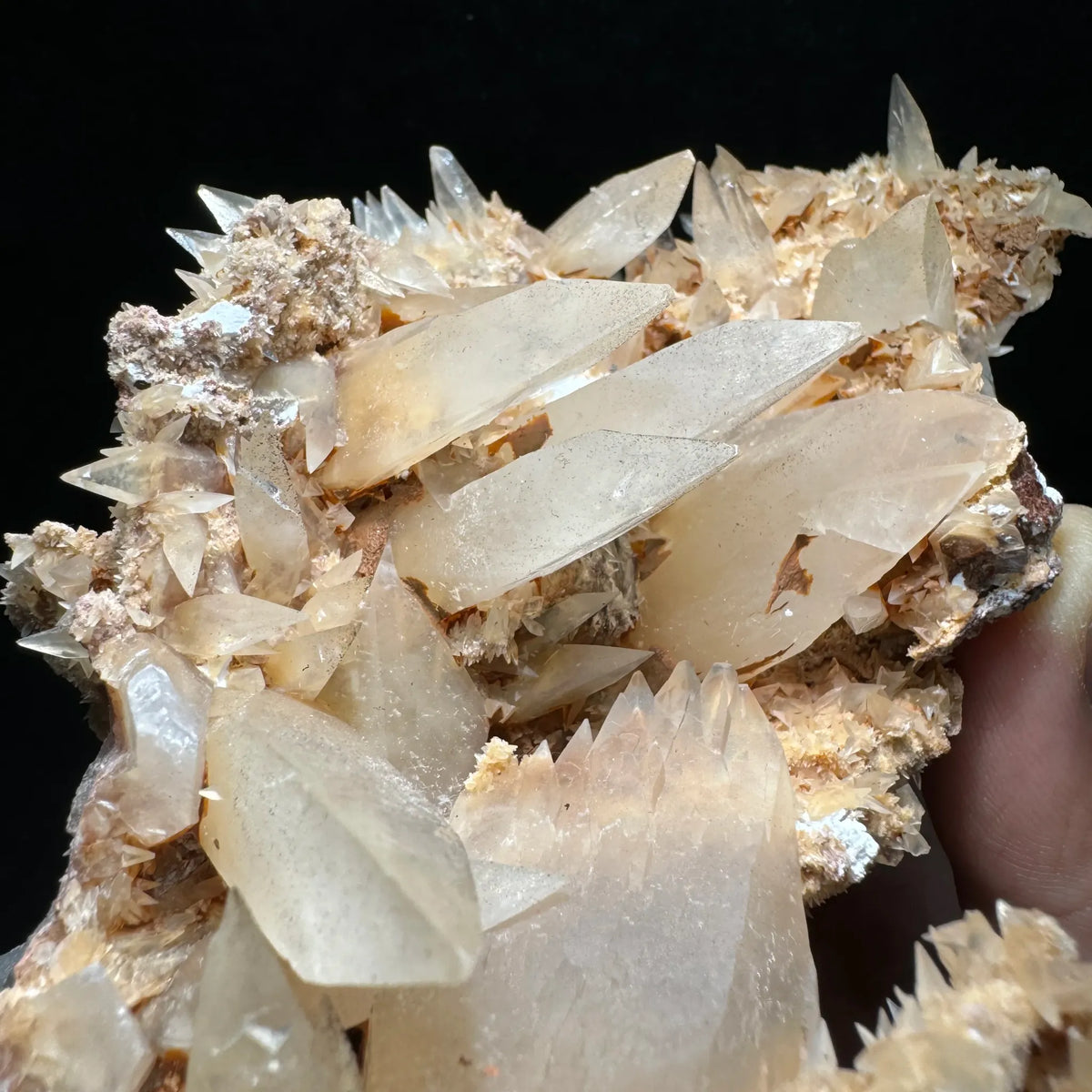 Calcite jaune pâle cristallisée sur matrice 327 g photo 3.