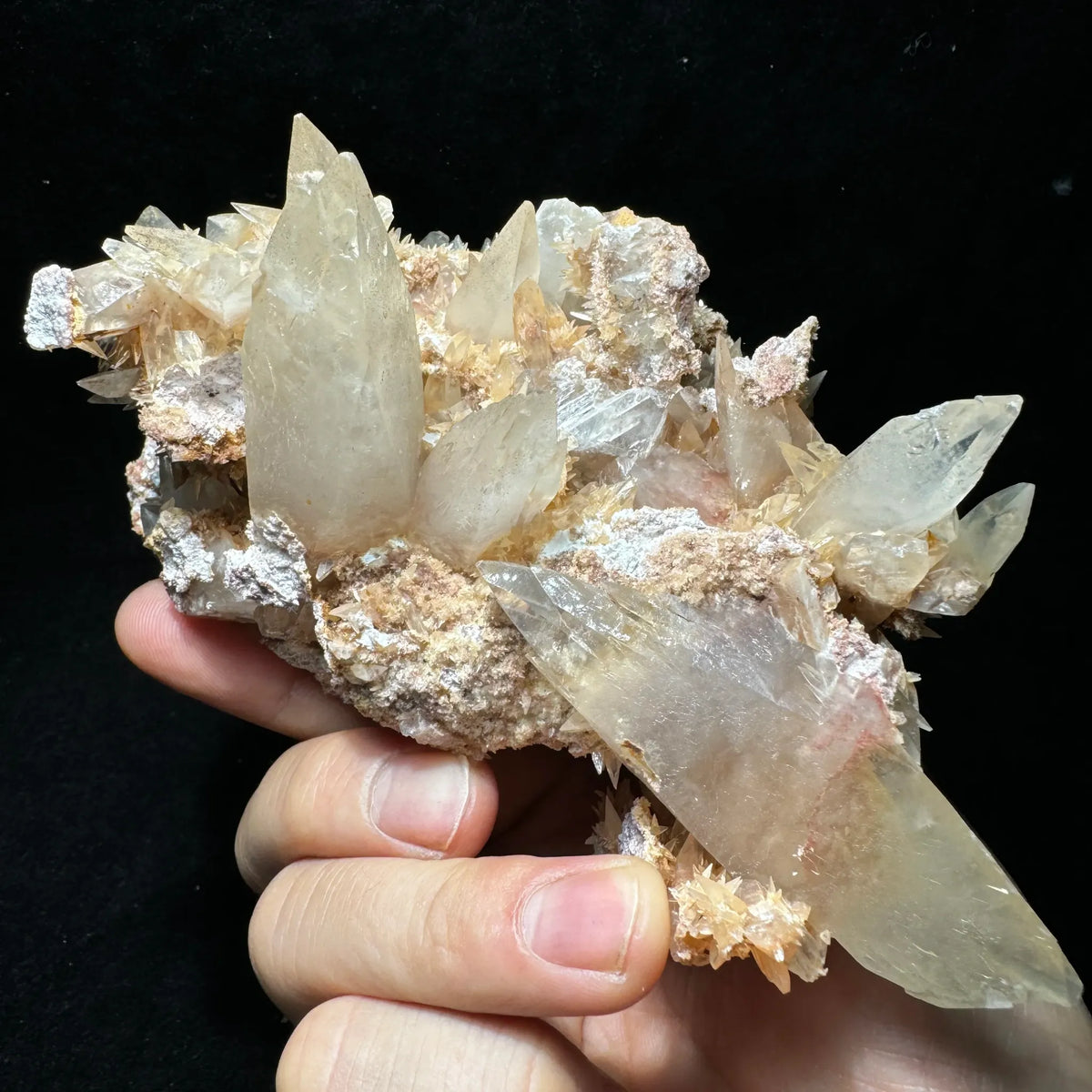 Calcite jaune pâle cristallisée sur matrice 327 g photo 4.
