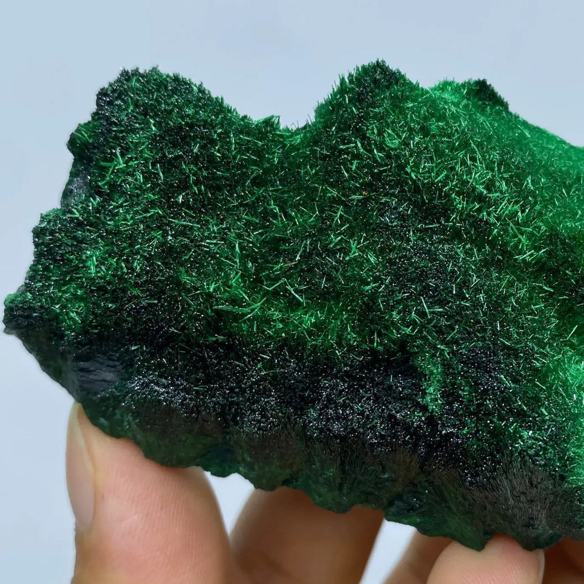 Malachite fibreuse veloutée sur matrice 243 g photo 5.