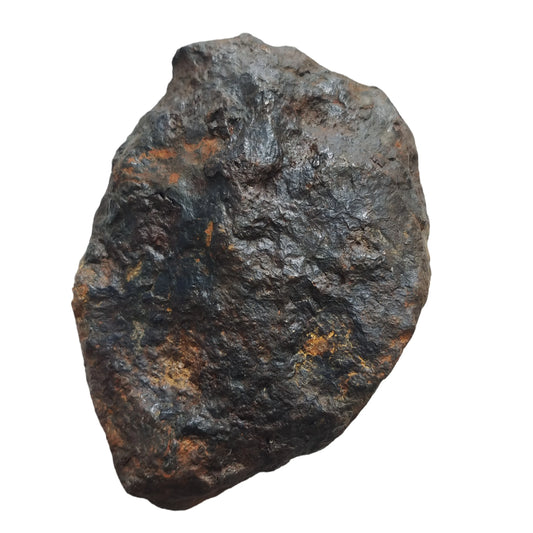 Météorite de fer Muonionalusta 1500 g photo 1.