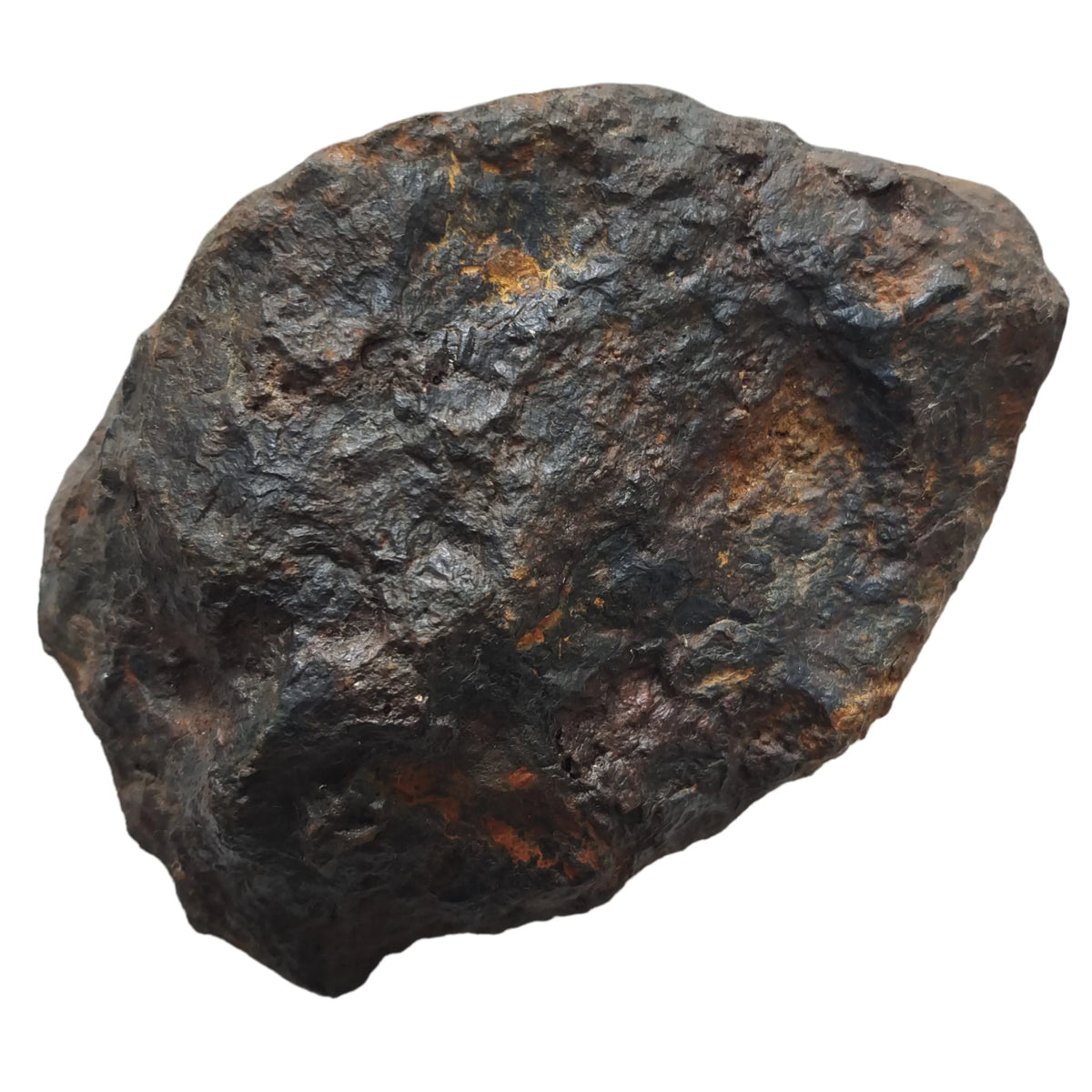 Météorite de fer Muonionalusta 1500 g photo 2.
