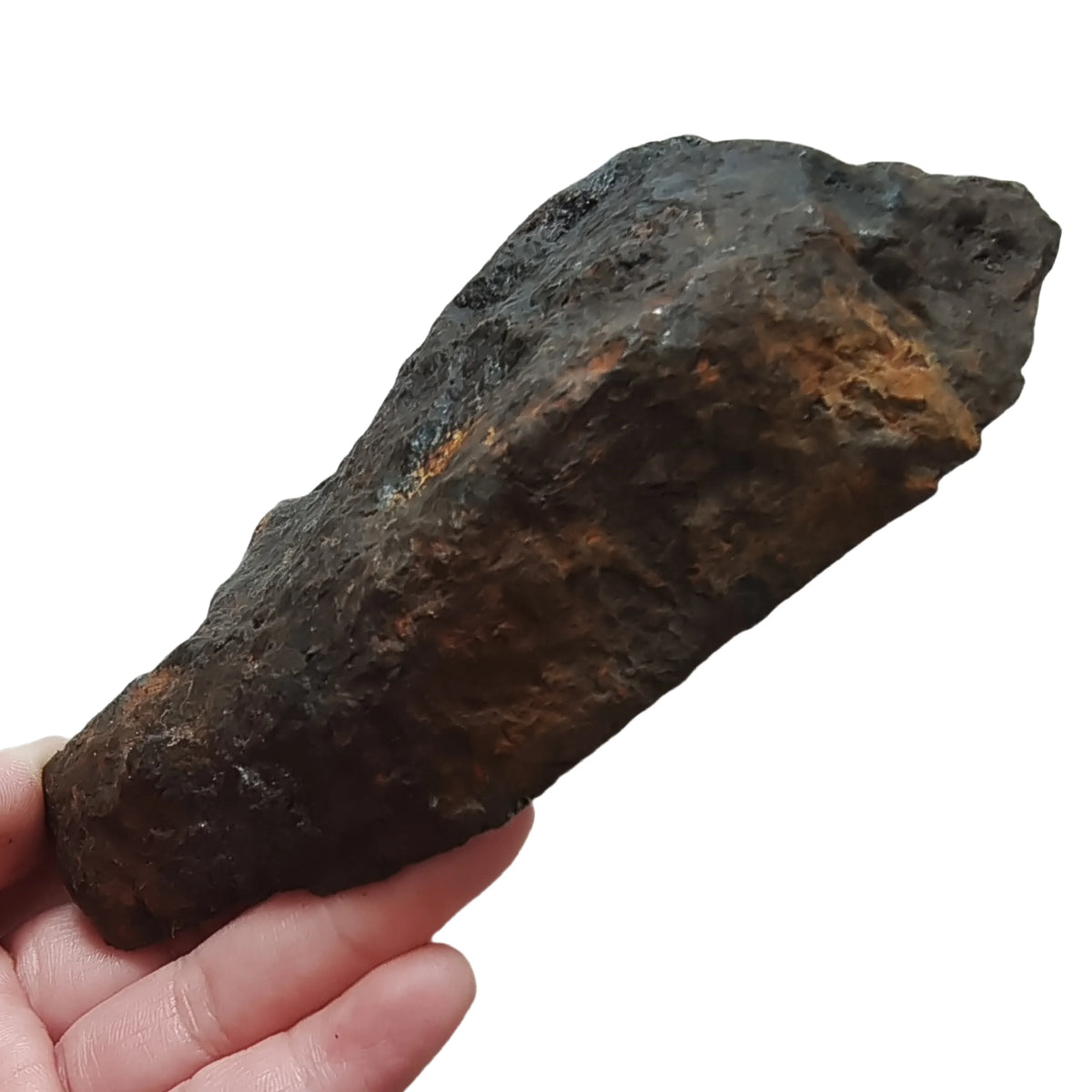 Météorite de fer Muonionalusta 1500 g photo 3.