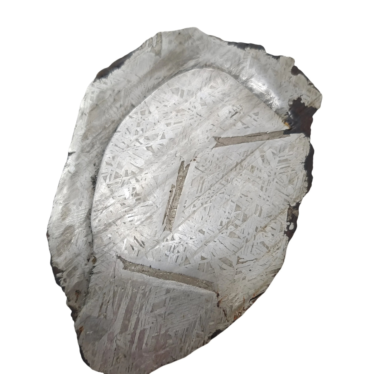 Météorite de fer Muonionalusta 1500 g photo 4.