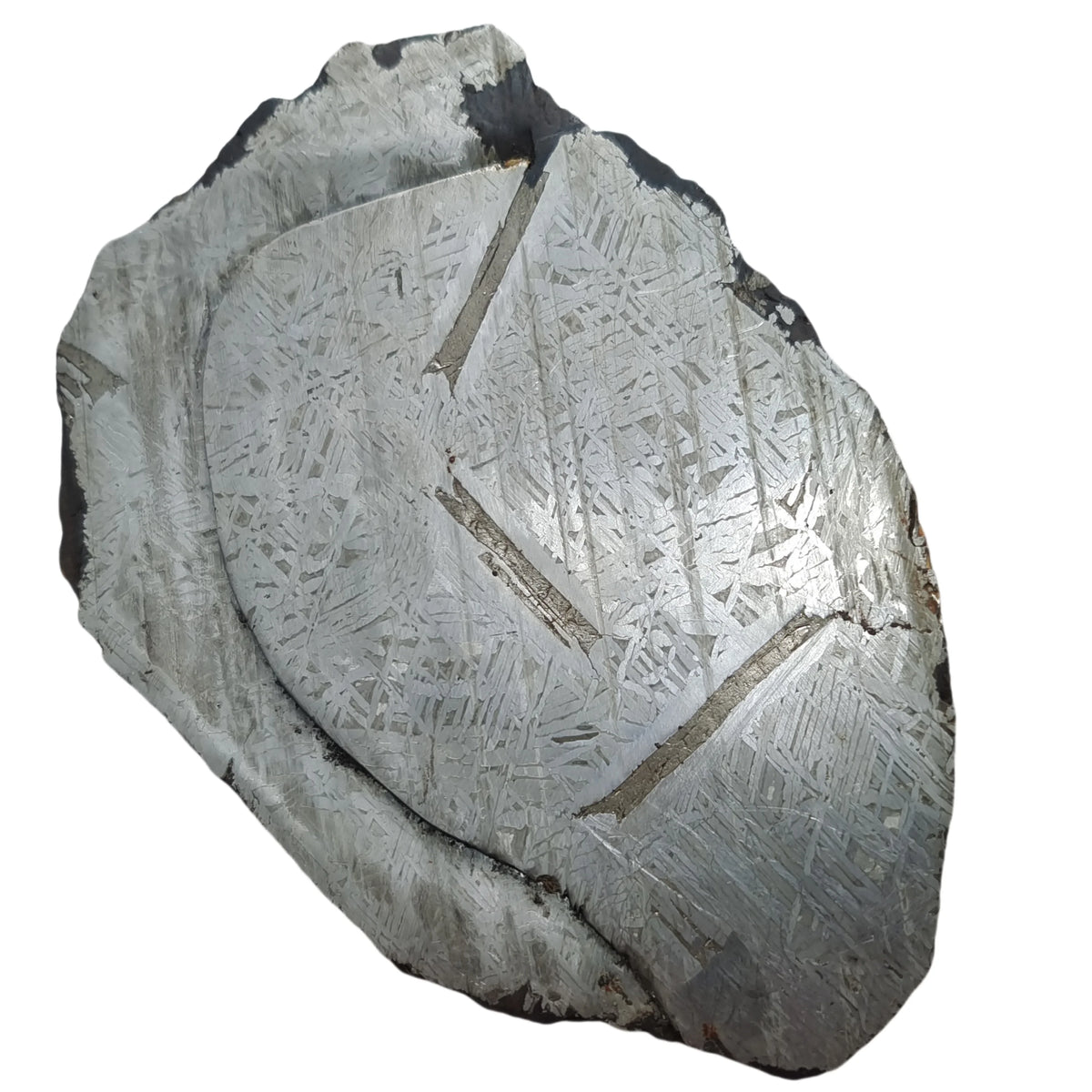 Météorite de fer Muonionalusta 1500 g photo 5.