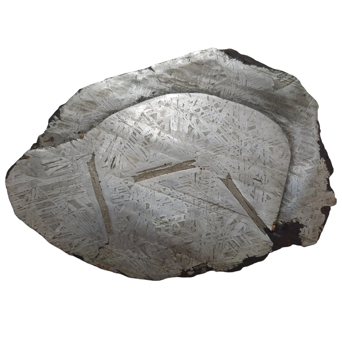 Météorite de fer Muonionalusta 1500 g photo 6.