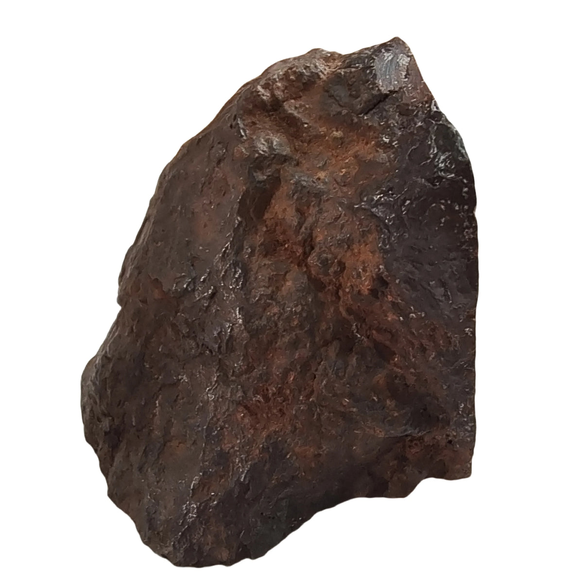 Météorite de fer Muonionalusta 1775 g photo 3.