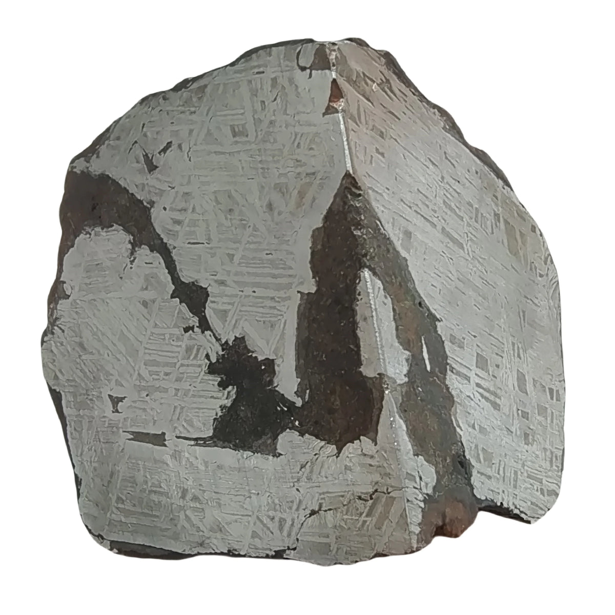 Météorite de fer Muonionalusta 1775 g photo 4.