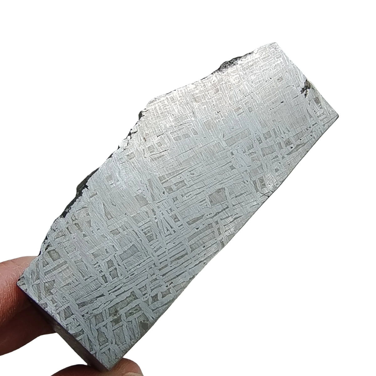 Météorite de fer Muonionalusta 784.3 g photo 2.