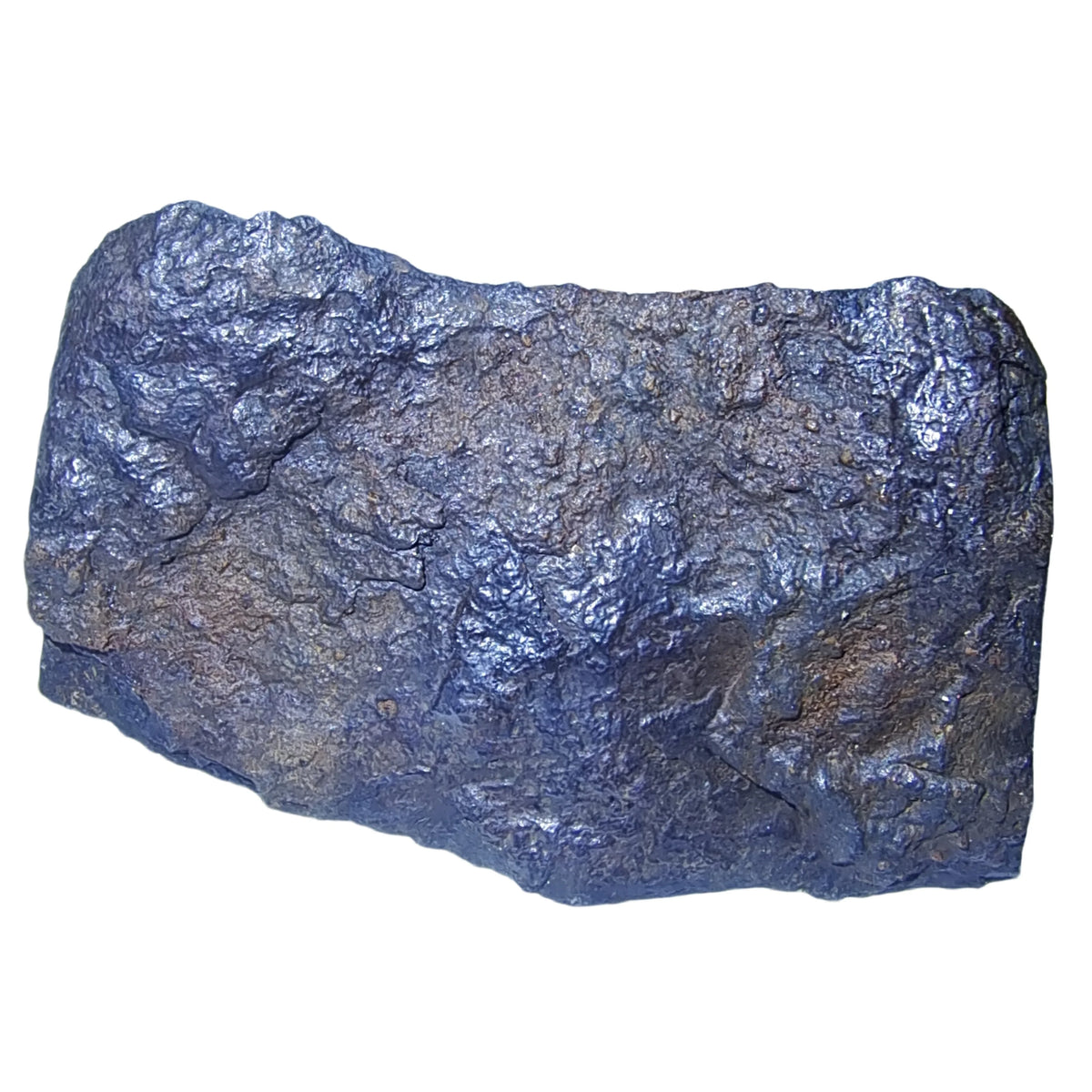 Météorite de fer Muonionalusta 784.3 g photo 5.