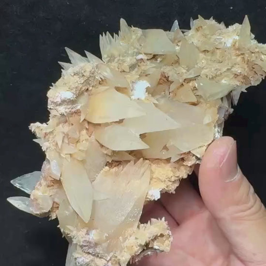Calcite jaune pâle cristallisée sur matrice 327 g vidéo.