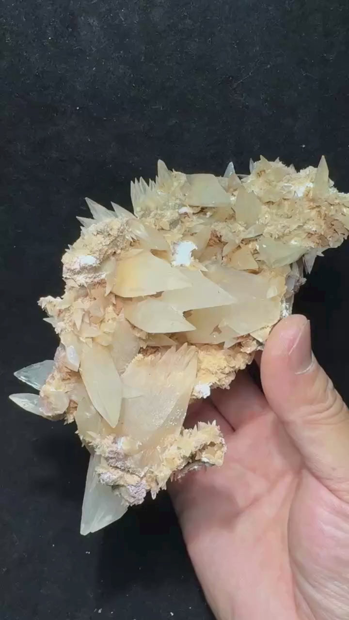 Calcite jaune pâle cristallisée sur matrice 327 g vidéo.