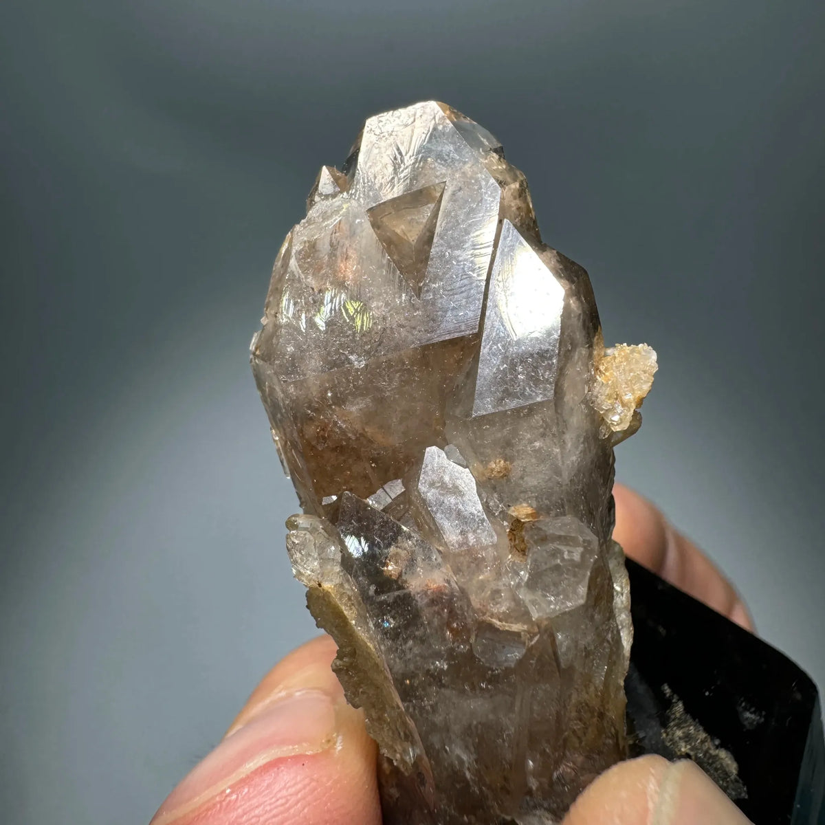Quartz fumé biterminé 113 g photo 2.