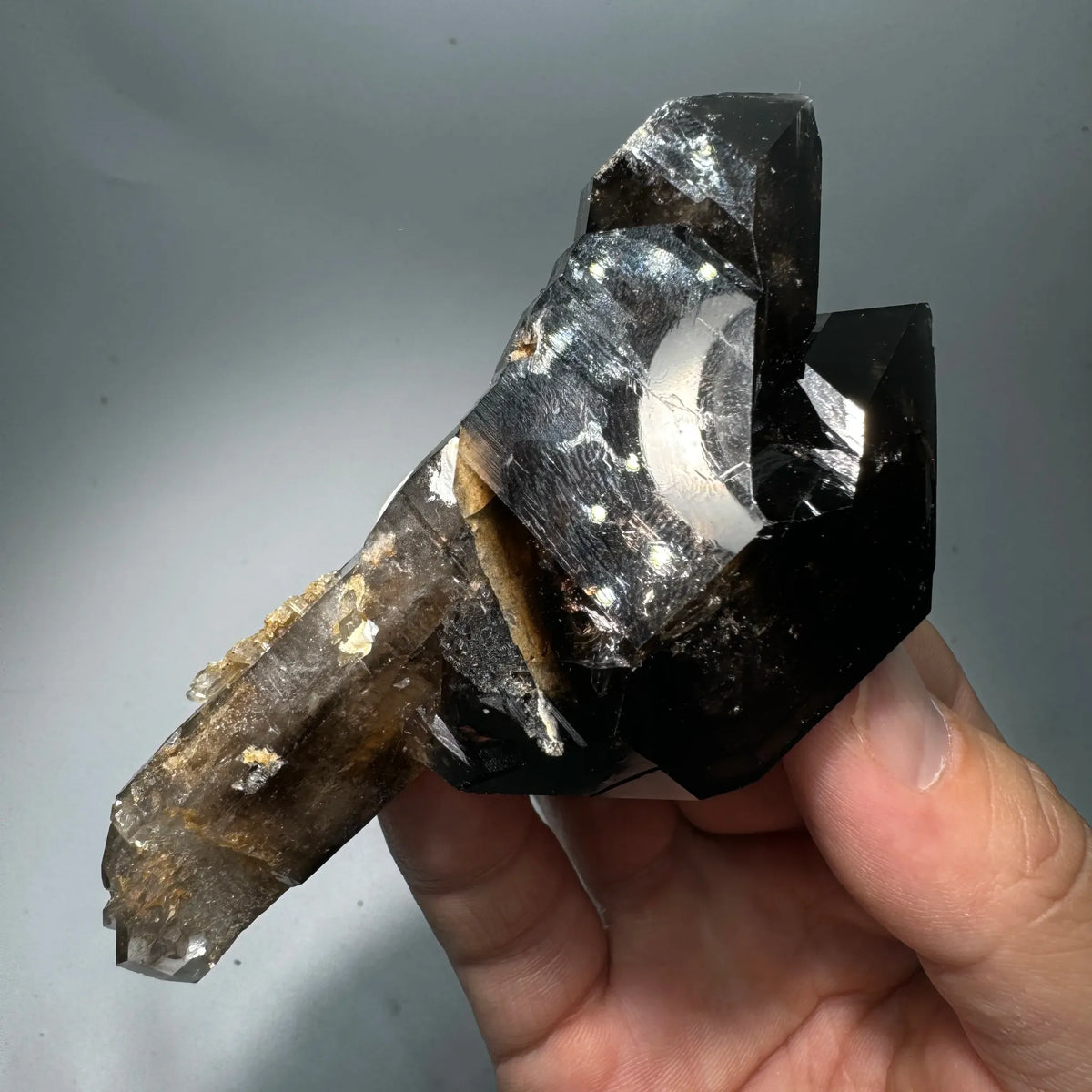 Quartz fumé biterminé 113 g photo 4.