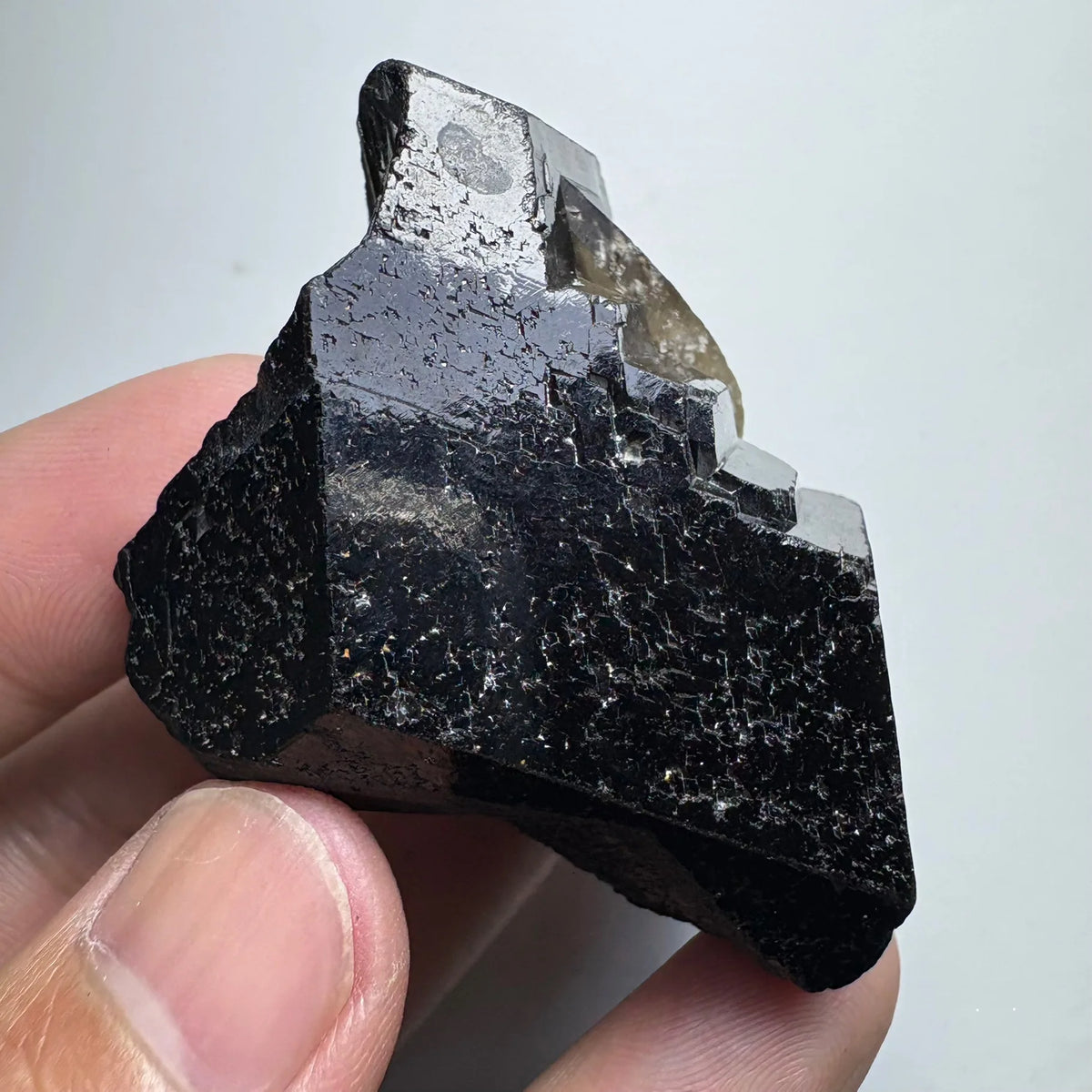 Tourmaline noire avec quartz fumé 130 g photo 4.
