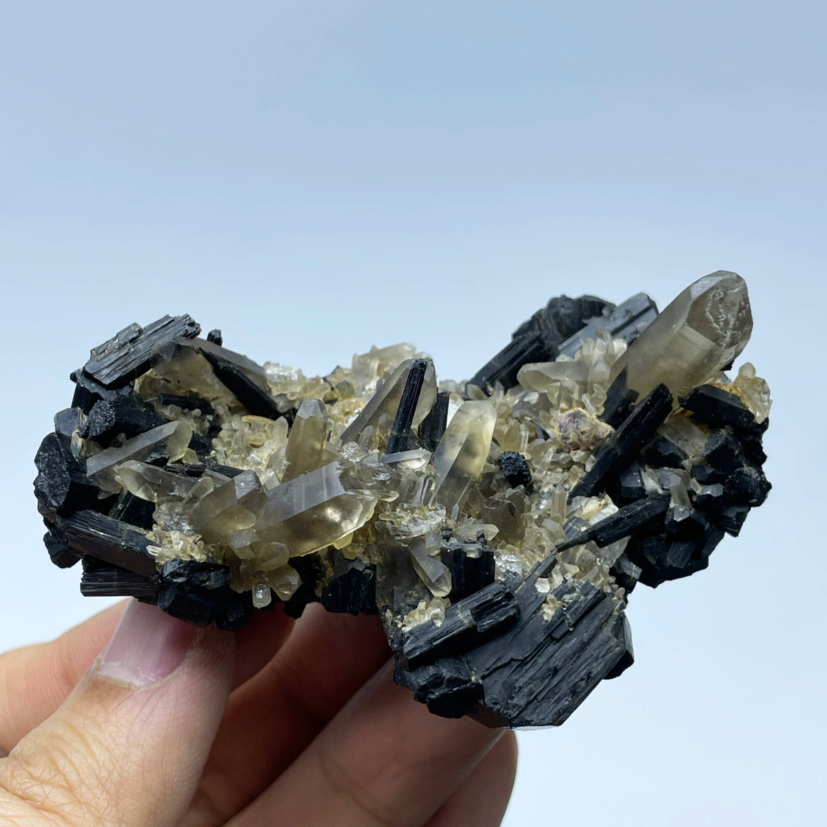 Tourmaline noire avec quartz hyalin photo 4.