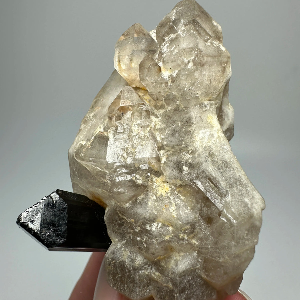 Tourmaline noire (schorl) sur feldspath 69 g photo 3.