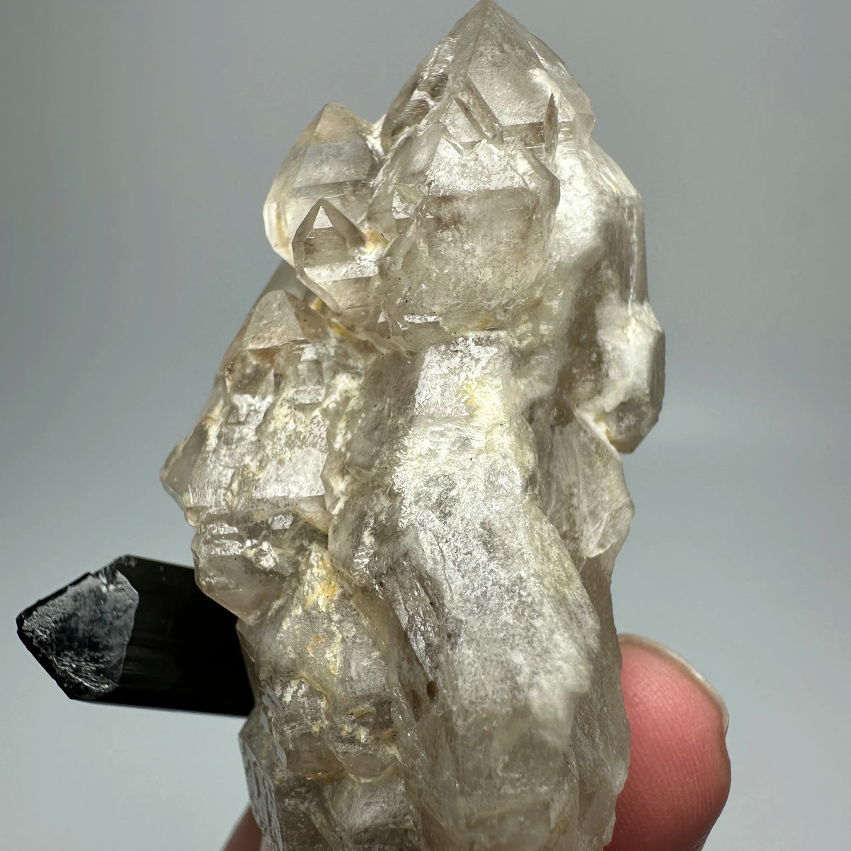 Tourmaline noire (schorl) sur feldspath 69 g photo 4.
